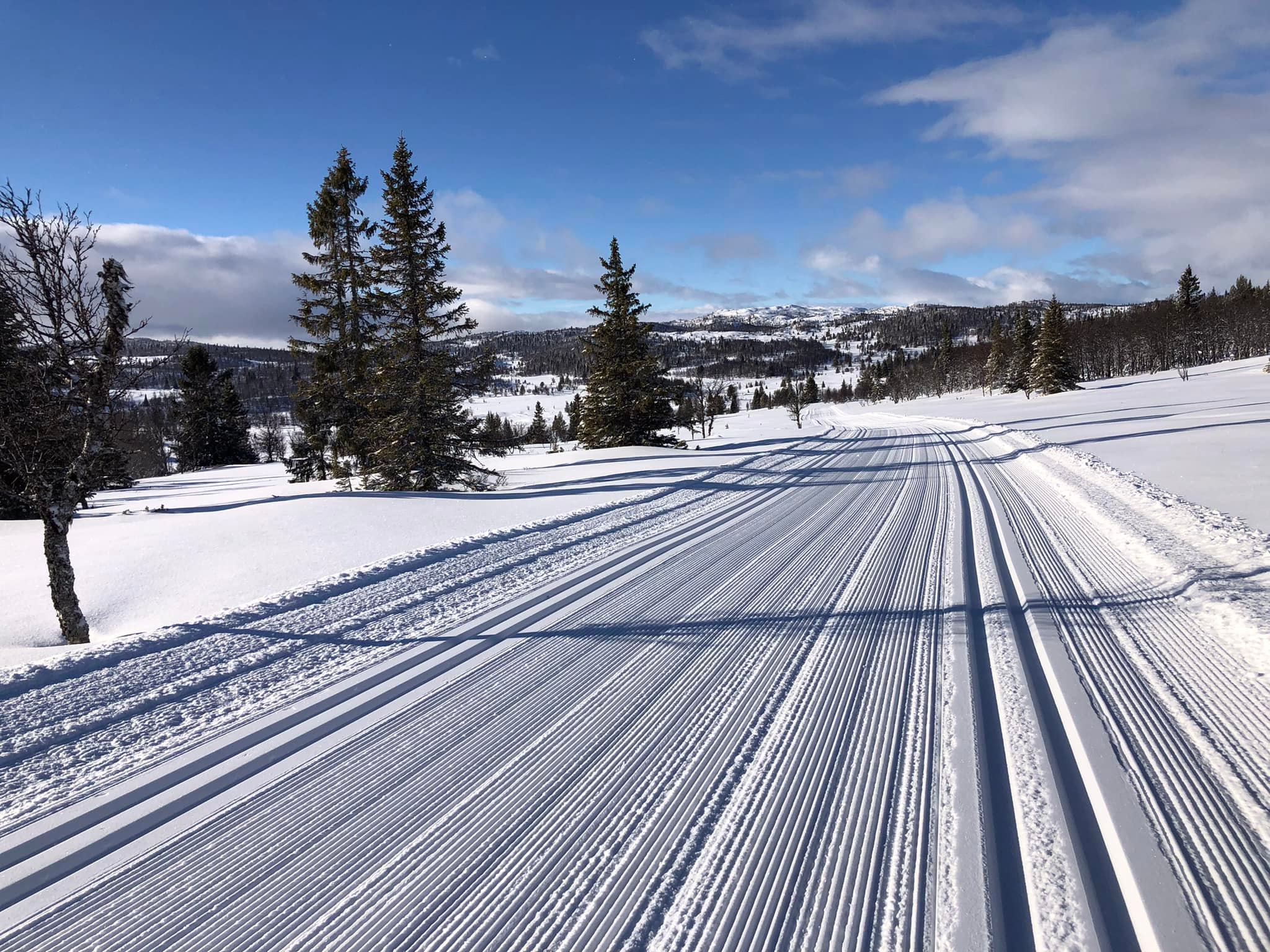Artikkelbilde til artikkelen Nes Nordmark Friluftslag årskontingent